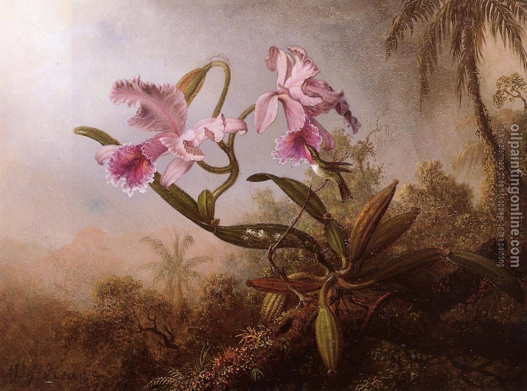 Heade, Martin Johnson - Orchids and Hummingbird